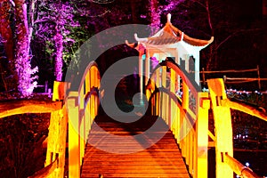 Japanese Pagoda and Footbridge