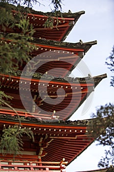 Japanese pagoda in Golden Gate Park.