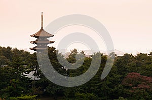 Japanese pagoda, Toji pagoda in Nara