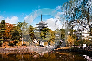 Japanese pagoda, Toji pagoda in Nara