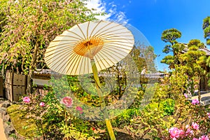 Japanese paper umbrella