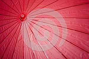 Japanese Paper Umbrella