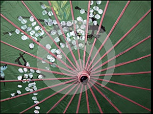 Japanese parasol