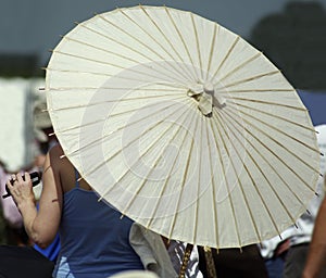 Japanese Parasol