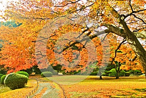 Japanese park in autumn in Tokyo, Japan.