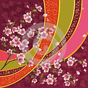 Japanese pattern with sakura blossom