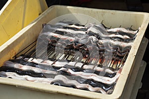 Japanese people cooking kabayaki or cooked grilled and roasted eel fish with sweet sauce in local restaurant in Narita at Japan