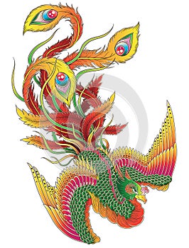 Japanese Phoenix