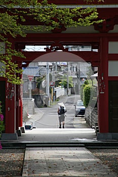 Japanese Pilgrimage photo