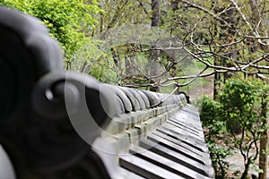 Japanese Pine-Mist Garden Wall photo
