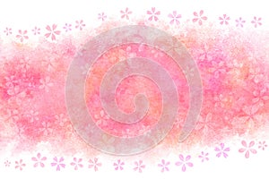 Japanese pink cherry blossom abstract on natural watercolor paint background
