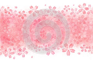 Japanese pink cherry blossom watercolor abstract or vintage paint background