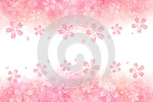 Japanese pink cherry blossom watercolor abstract or vintage paint background