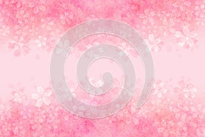 Japanese pink cherry blossom watercolor abstract or vintage paint background