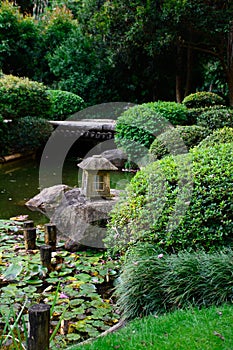 Japanese pond with Ornamental plants