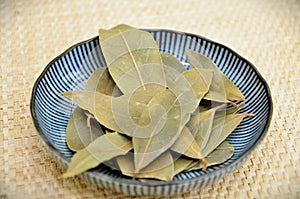 About Japanese porcelain dry leaves of Laurus nobilis photo