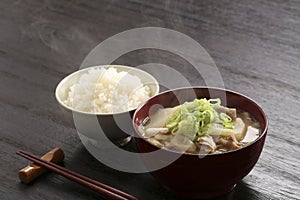 Japanese pork soup and rice