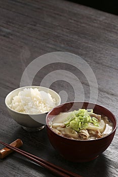 Japanese pork soup and rice