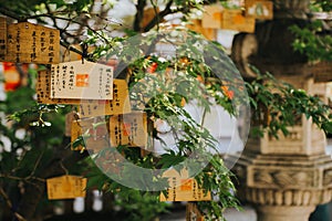 Japanese prayers on wooden planks called ema.