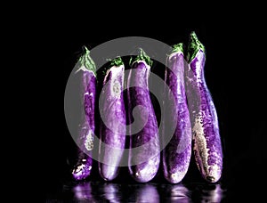 JAPANESE PURPLE EGGPLANTS