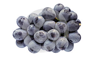 Japanese purple grape isolated #2