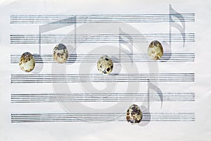 Japanese quail eggs. Six-stave music paper. Shadows like musical notes.