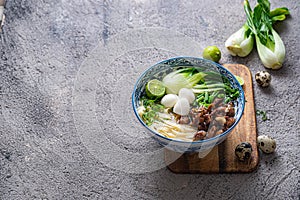 Japanese ramen soup with chicken, egg, chives and bok choy on concrete background.