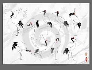 Japanese red-crowned crane birds in oriental style on old paper backrgound. Traditional Japanese ink wash painting sumi