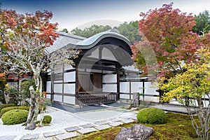 Japanese red maple tree during autumn in garden at Enkoji temple in Kyoto, Japan