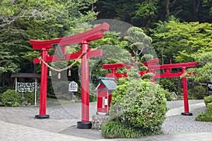 Japanese red wooden torii gates