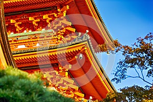 Japanese Religiuos Heritage. Closeup of Wings of Kiyomizu-dera Temple At Daytime. Red Maples in Foregound