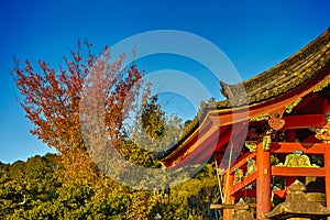 Japanese Religiuos Heritage. Wings of Kiyomizu-dera Temple At Daytime. Traditional Red Maples in Foregound