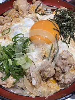 Japanese rice with chicken