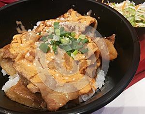 Japanese Rice Sliced Pork and Spring onion
