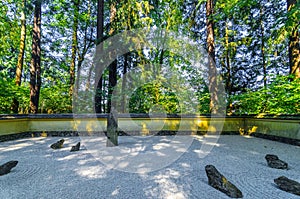 Japanese Rock Garden View