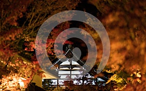 Japanese roof in autumn at night