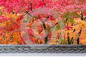 Japanese roof with colorful leaves in the garden, Pavilion in Eikando temple or Eikan-do Zenrinji shrine, famous for tourist
