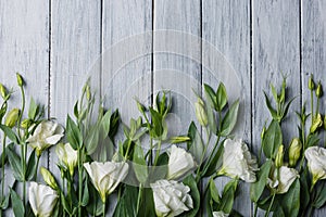 Japanese roses lie in a row below on a gray wooden background