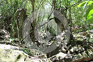 Japanese ruins on Tinian