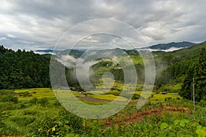 Japanese rural landscape with rice terraces in mountain forest