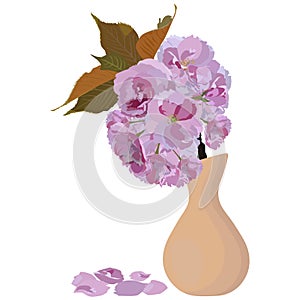 Japanese sakura blossom branch in vase vector isolated illustration