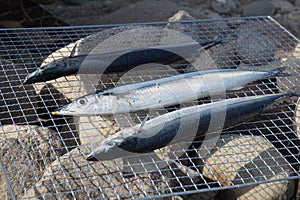 Japanese Sanma or Saury Fish on grill mesh.