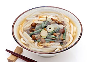 Japanese Sansai Udon noodles in a bowl