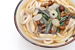 Japanese Sansai Udon noodles in a bowl