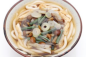 Japanese Sansai Udon noodles in a bowl