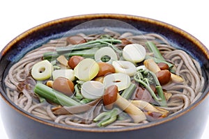 Japanese Sansai udon noodles in a bowl