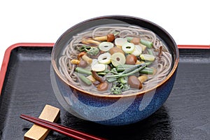 Japanese Sansai udon noodles in a bowl