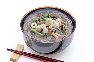 Japanese Sansai udon noodles in a bowl