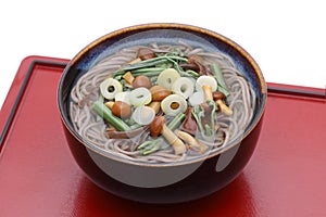 Japanese Sansai udon noodles in a bowl