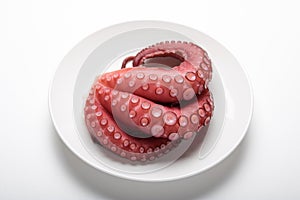 Japanese Sashimi - Tako Octopus photo